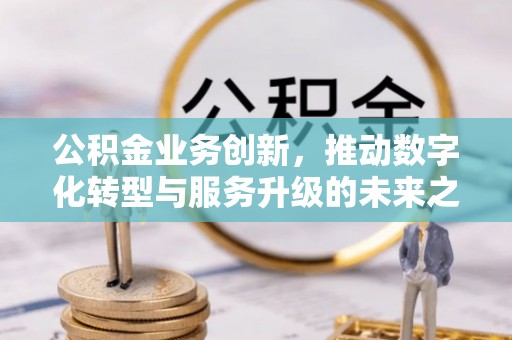 尤溪公积金业务创新，推动数字化转型与服务升级的未来之路