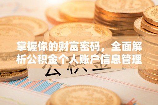 尤溪掌握你的财富密码，全面解析公积金个人账户信息管理
